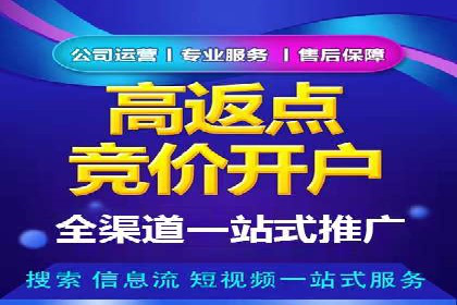 竞价排名案例：行业领先企业经验